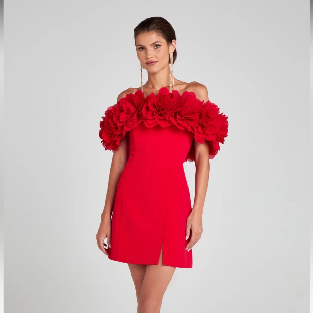 Nadine Merabie Renee Red Dress Size Small